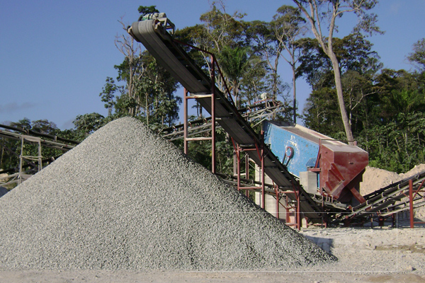 sand-macing-plant401